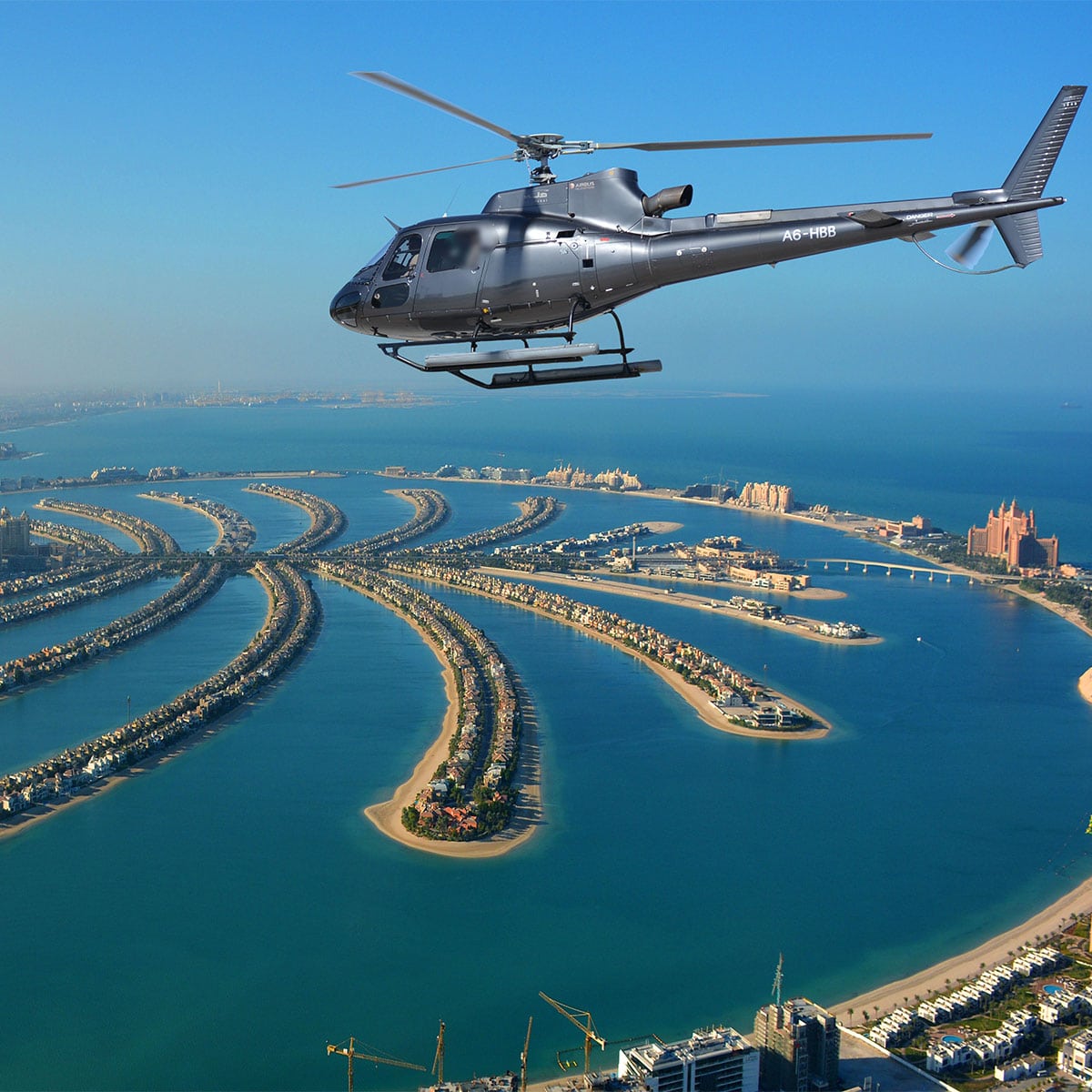 the palm helicopter tour