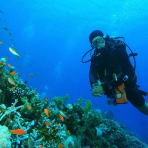 Dubai Scuba Diving – Fujairah Diving Trips