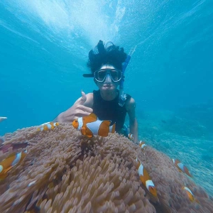 Fujairah Dibba Snorkeling Experience Half Day